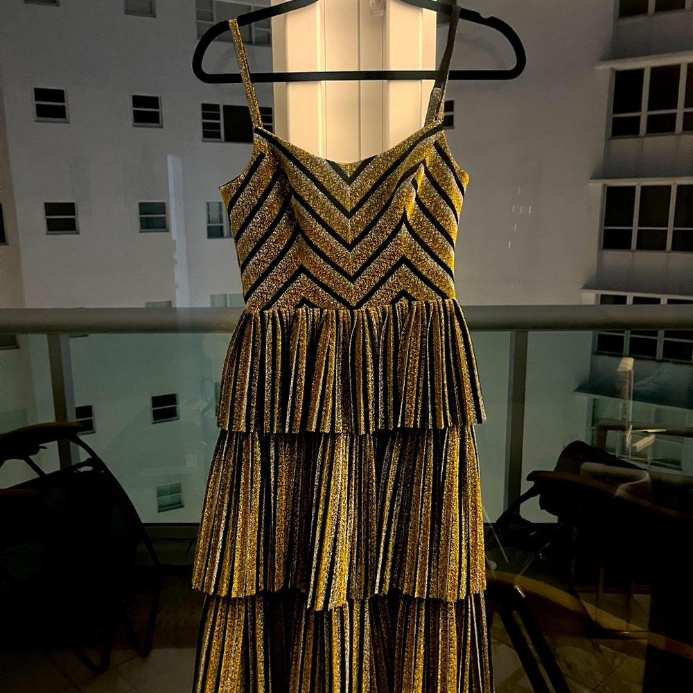 XS Dress the Population Fit and Flare Cocktail Dress.